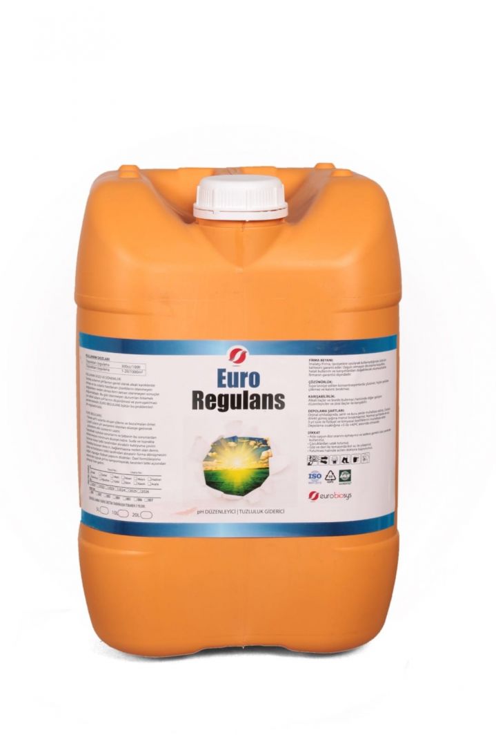 Euro Regulans