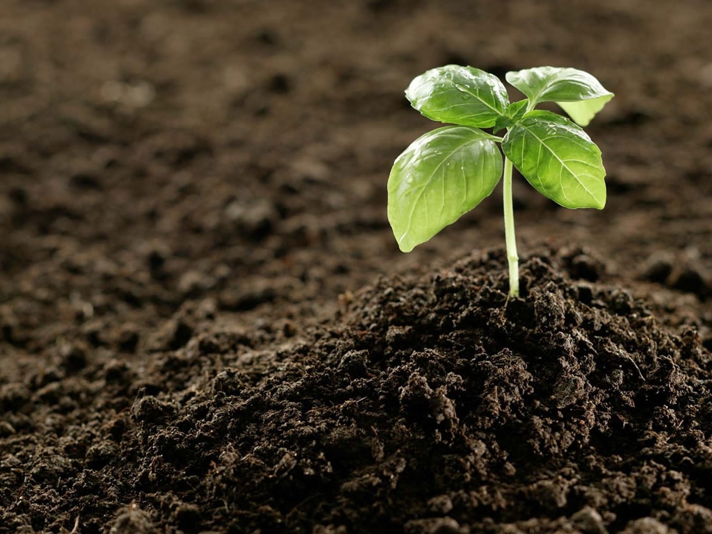 Gübreleme Çözümleri